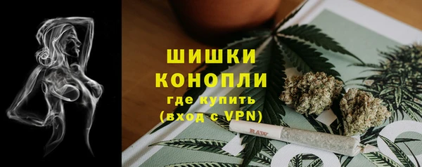 шишки Алексеевка